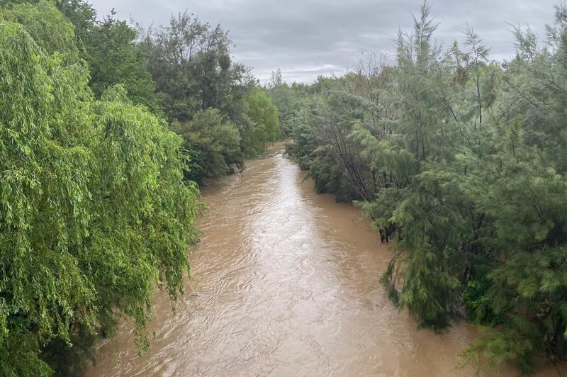 A river in flood, its chocolate-brown waters rushing between tall trees on either side of the riverbank.