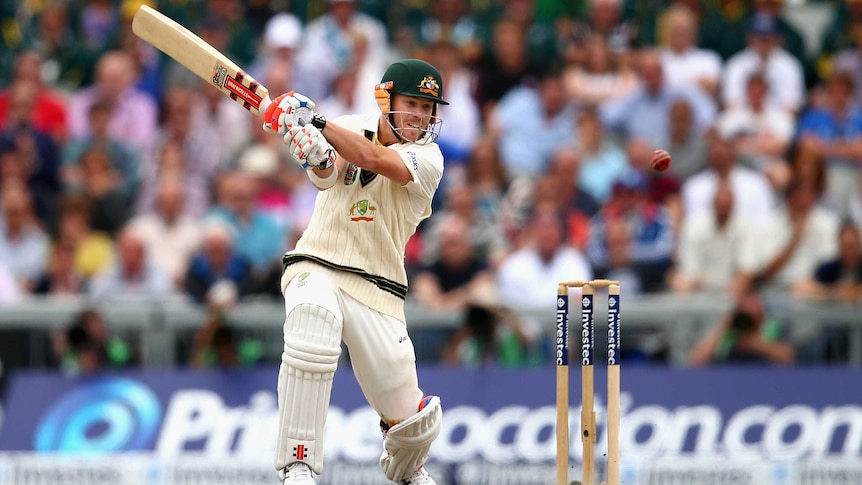 David Warner in action at the third test of the Ashes