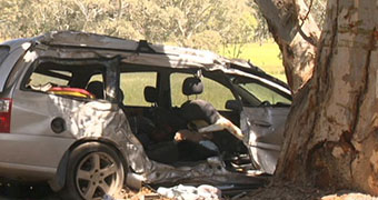 A white station wagon has crashed into a tree, with empty fields nearby.