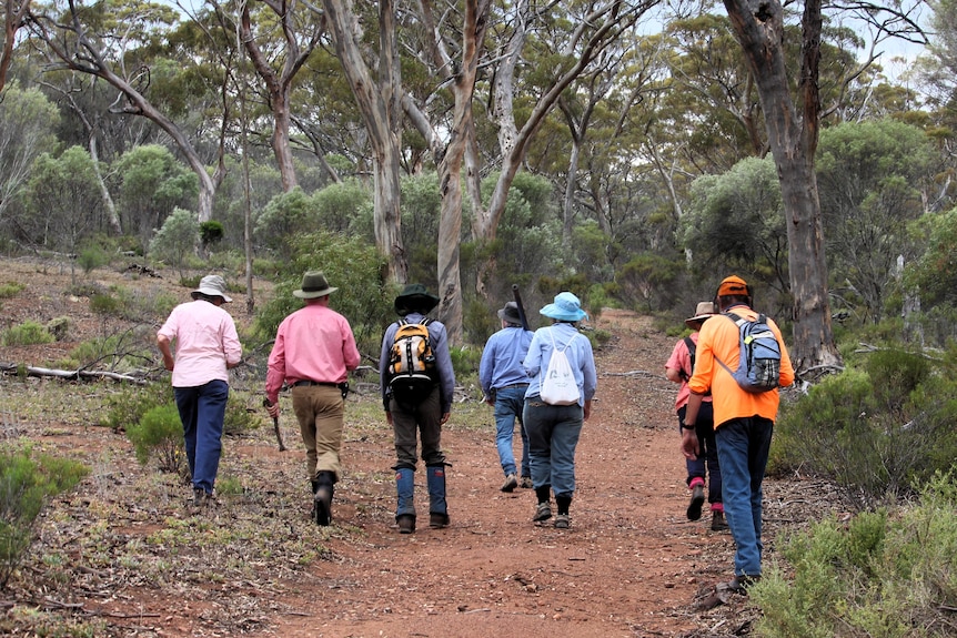 A group of seven is pictured from behind walking into the bush