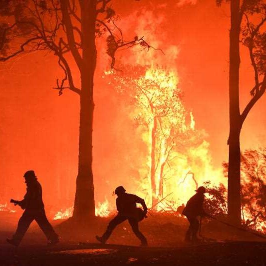 Raging flames in a bushfire setting.