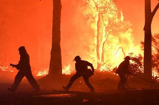 山火事環境での猛烈な火事。