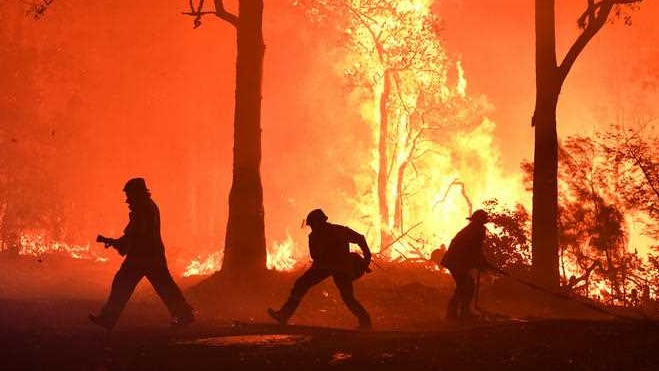 Raging flames in a bushfire setting.