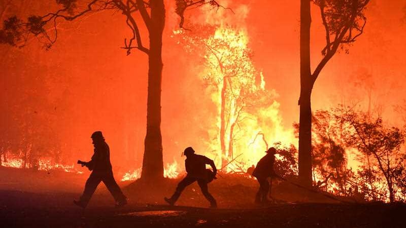 Raging flames in a bushfire setting.