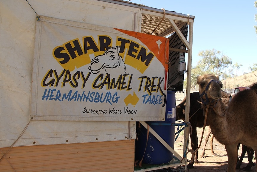 Shar Gem Gypsy Camel Trek