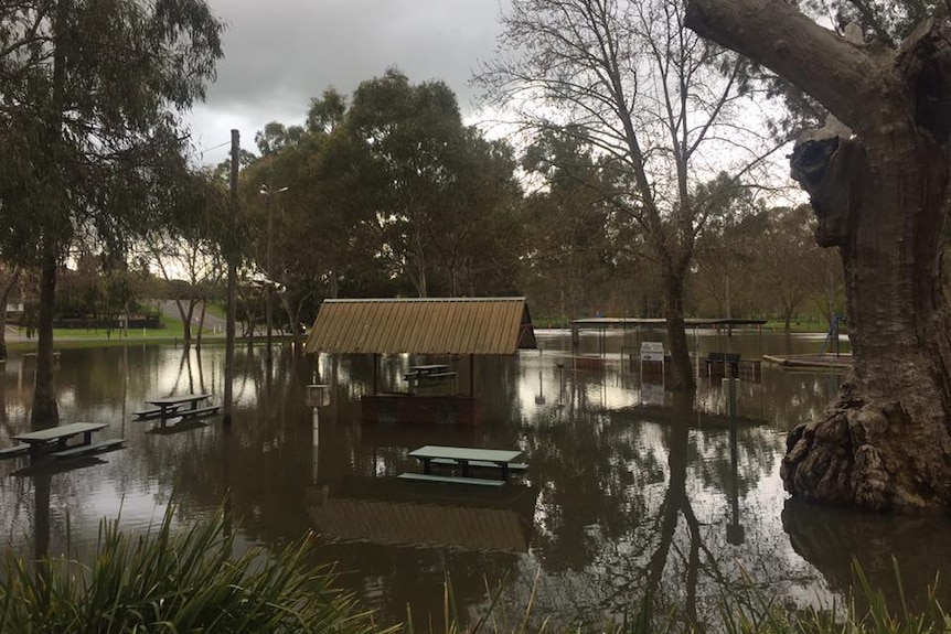 Flooded caravan park on the Murray River