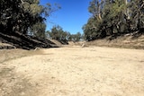 Bed of the Darling River