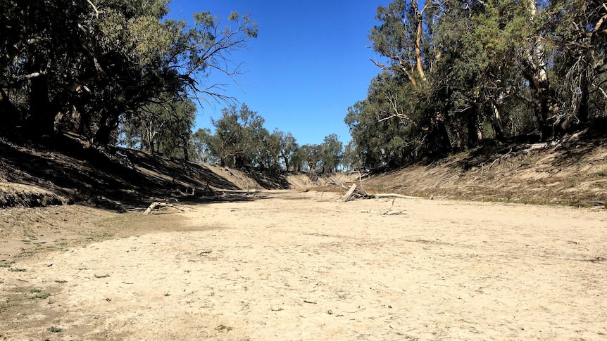 Bed of the Darling River