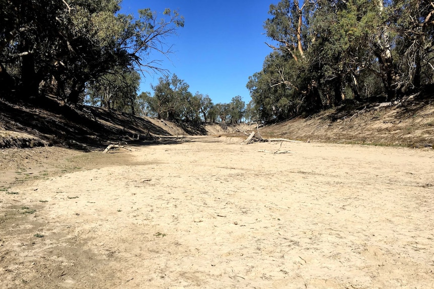 The sandy bed of the dried-up Darling River