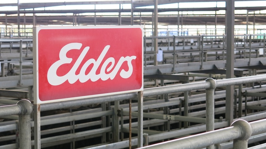 Elders makes $3m profit after restructure and live export earnings