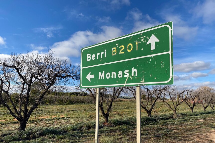 A green road sign with directions to Berri and Monash. The road sign sits in front of a line of bare trees and long green grass