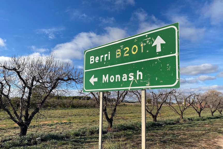 A green road sign with directions to Berri and Monash. The road sign sits in front of a line of bare trees and long green grass