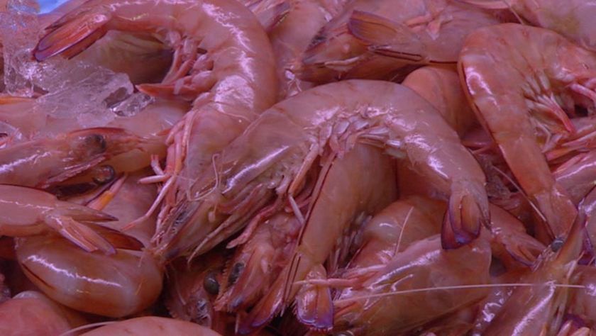 Qld prawns head for US barbies - ABC News