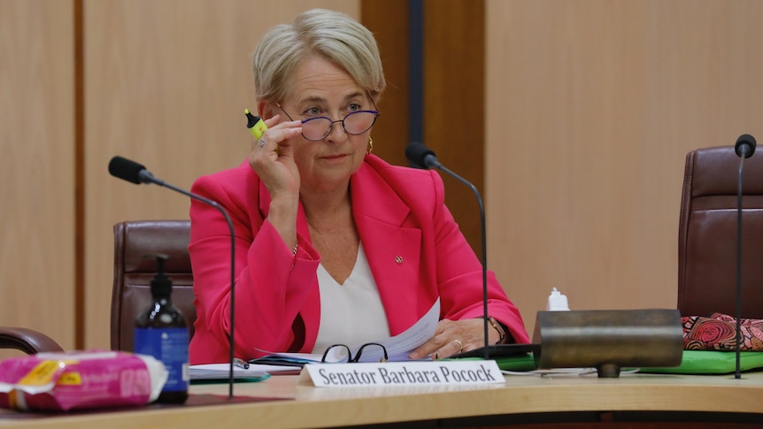 Senator Barbara Pocock peers sceptically over the top of her lowered glasses as she sits at a senate committee