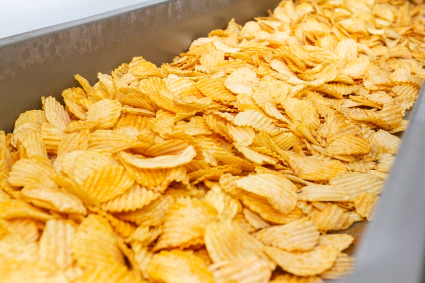 Crinkle cut potato chips on a factory production line.