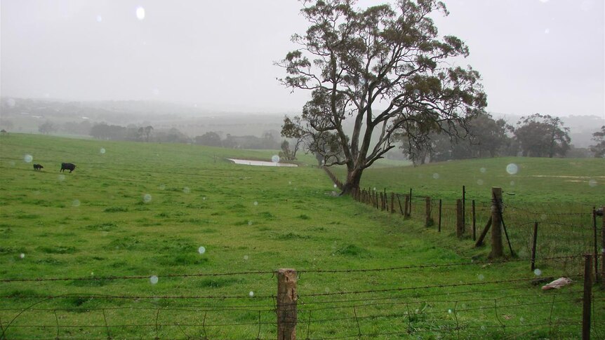 Mt Barker countryside