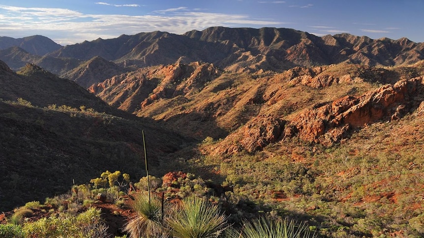 Arkaroola wilderness