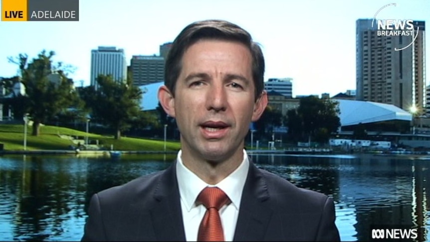 Simon Birmingham discusses push for new  literacy and numeracy test for all Year 1 students