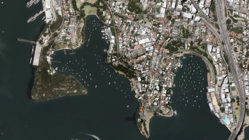 An aerial view of Balls Head reserve (on left) in Sydney Harbour.