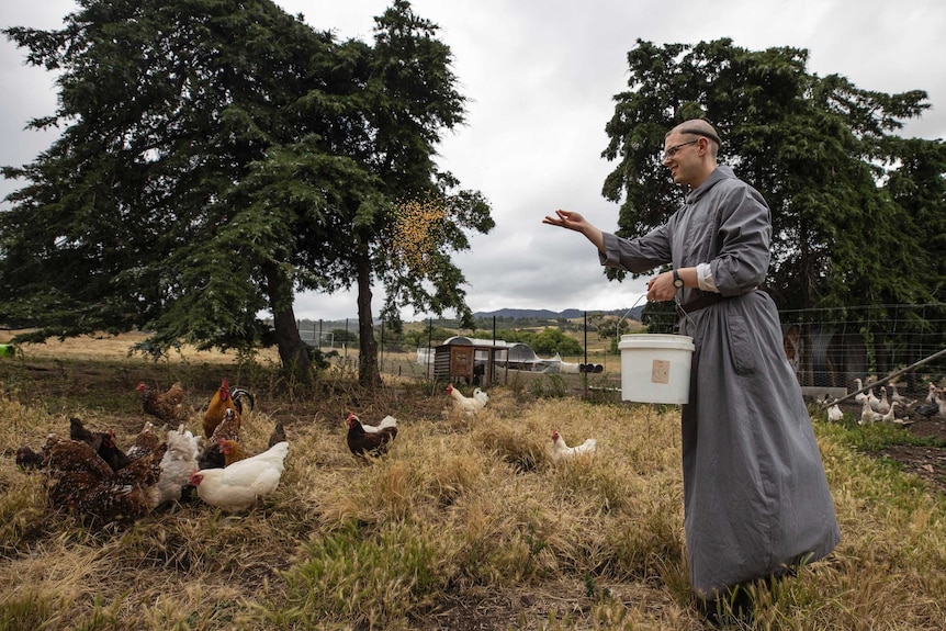 Benedictine monk, brother Bede feeding chickens