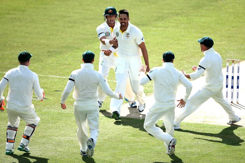 Mitchell Johnson celebrates wicket in Dubai