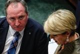 Acting Prime Minister Barnaby Joyce and Foreign Minister Julie Bishop during Question Time.