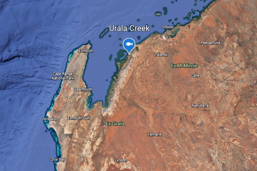 A map of north west Australia around the Pilbara region with an icon east of Exmouth Gulf showing where the fish was.