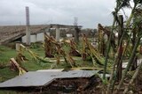 Cyclone Evan damage on the island of Denerau in the Fiji Islands.