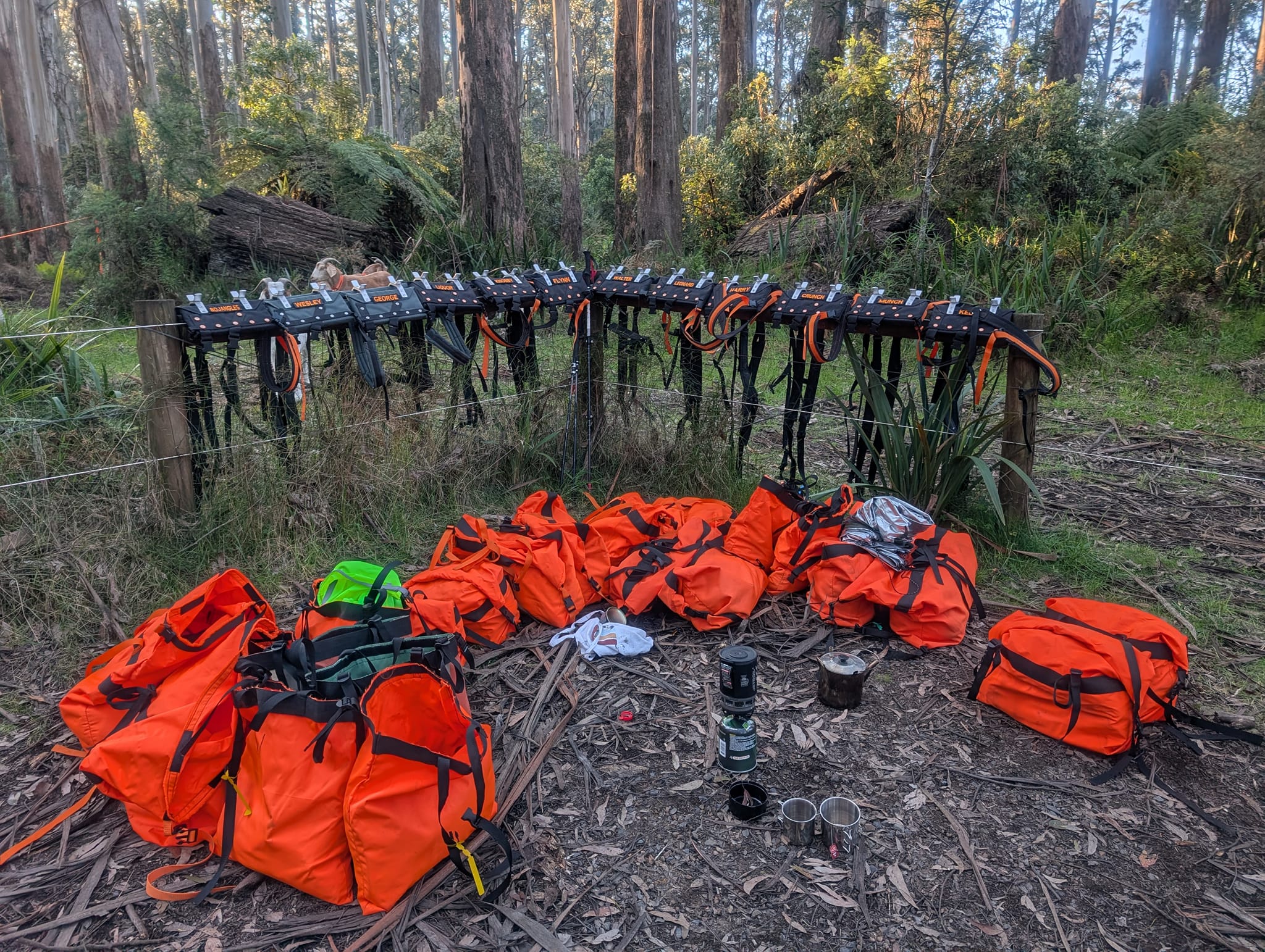 Arneses, bolsas e coletes de alta visibilidade pendurados em uma grade.