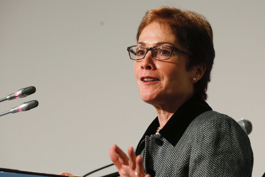 Marie Yovanovitch speaks into a microphone at a lectern.