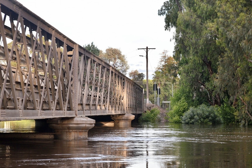 A steel bridge with water about half a metre below the deck