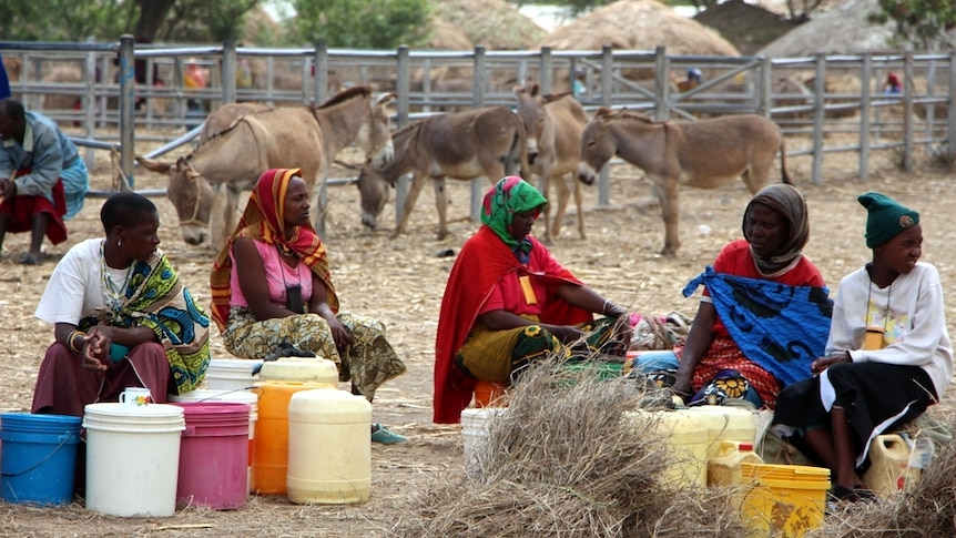 Women and children sitting on buckets at an African cattle market