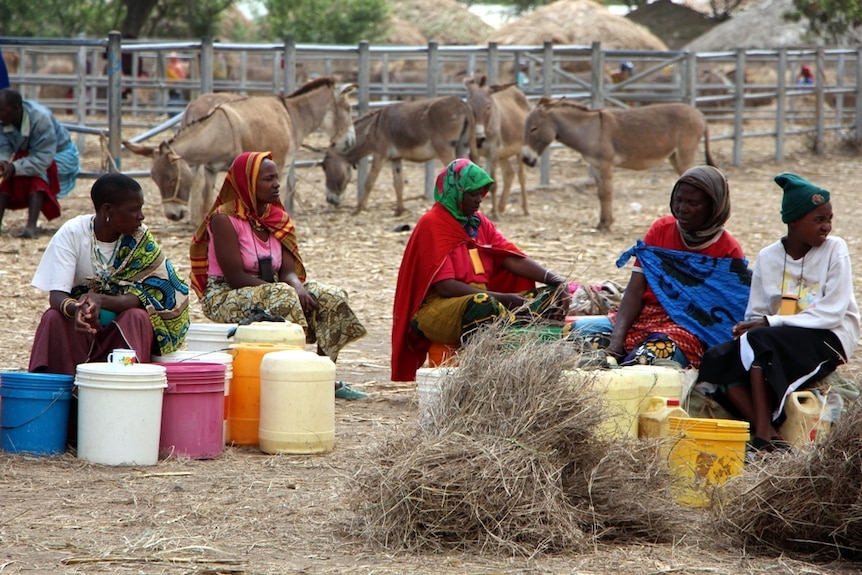 Women and children sitting on buckets at an African cattle market
