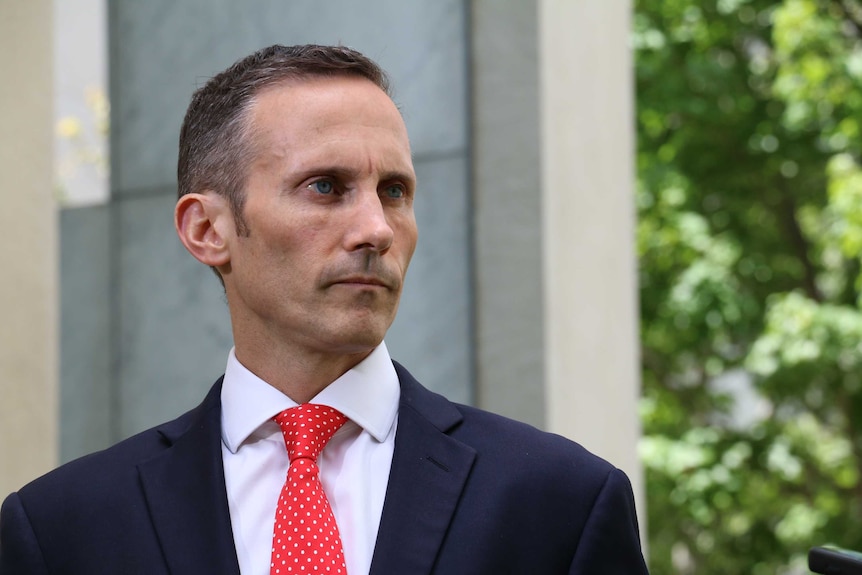 Labor MP Andrew Leigh speaks to the media on December 17, 2015.