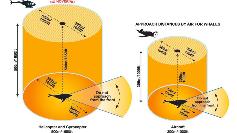 Diagrams showing CASA flight restrictions over whales.