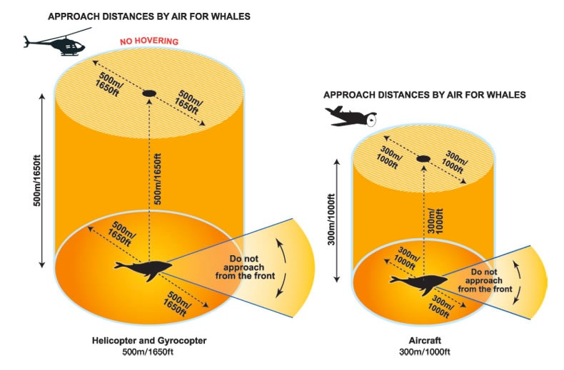 Diagrams showing CASA flight restrictions over whales.