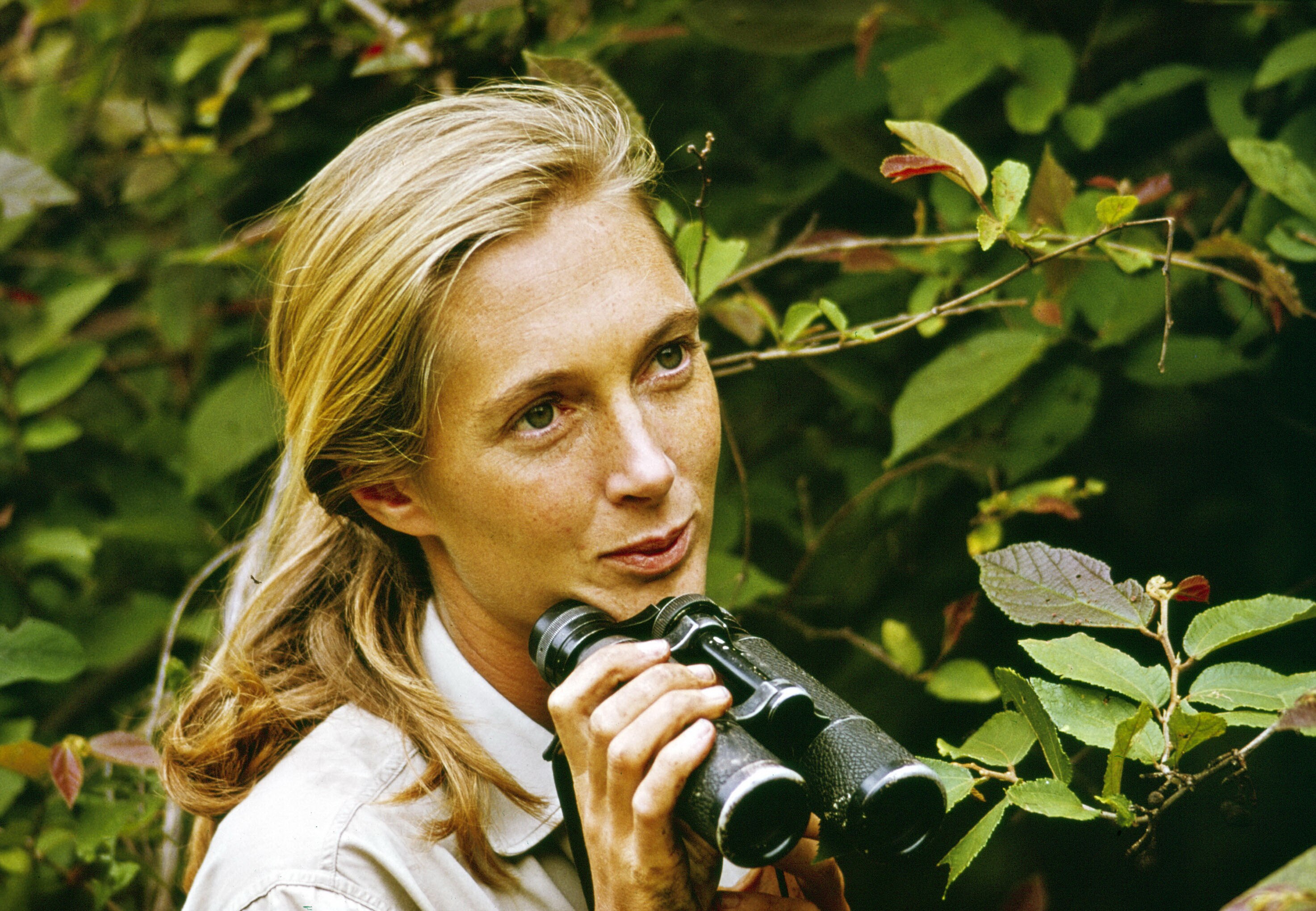 A young woman with blonde hair holds a pair of binoculars. Trees are in the background.