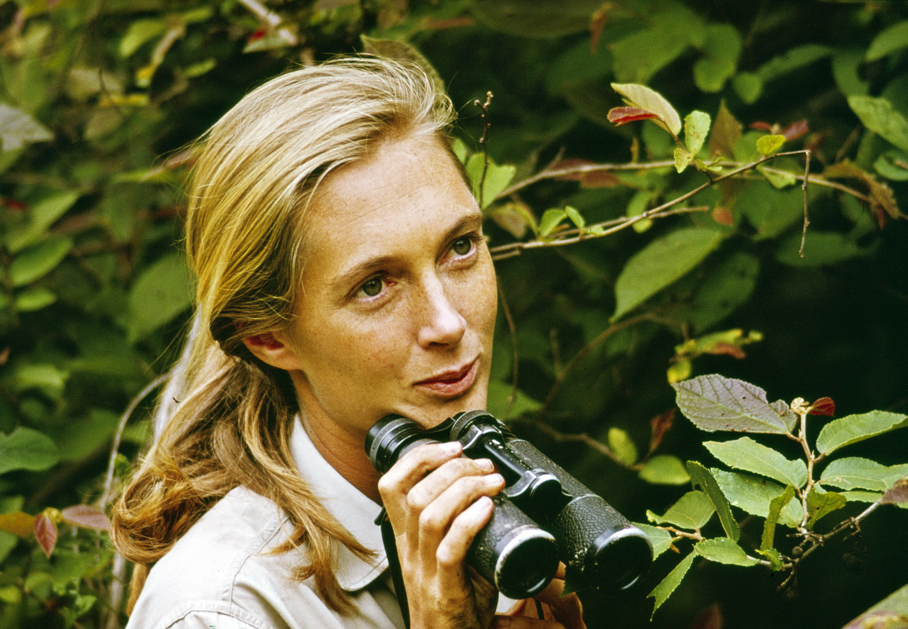 A story of hope: How Jane Goodall changed the world