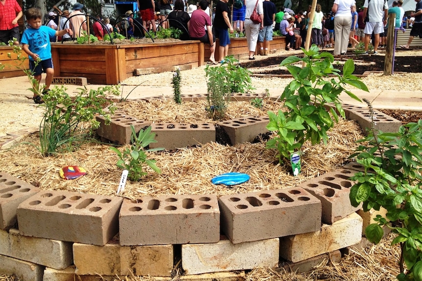 Community garden