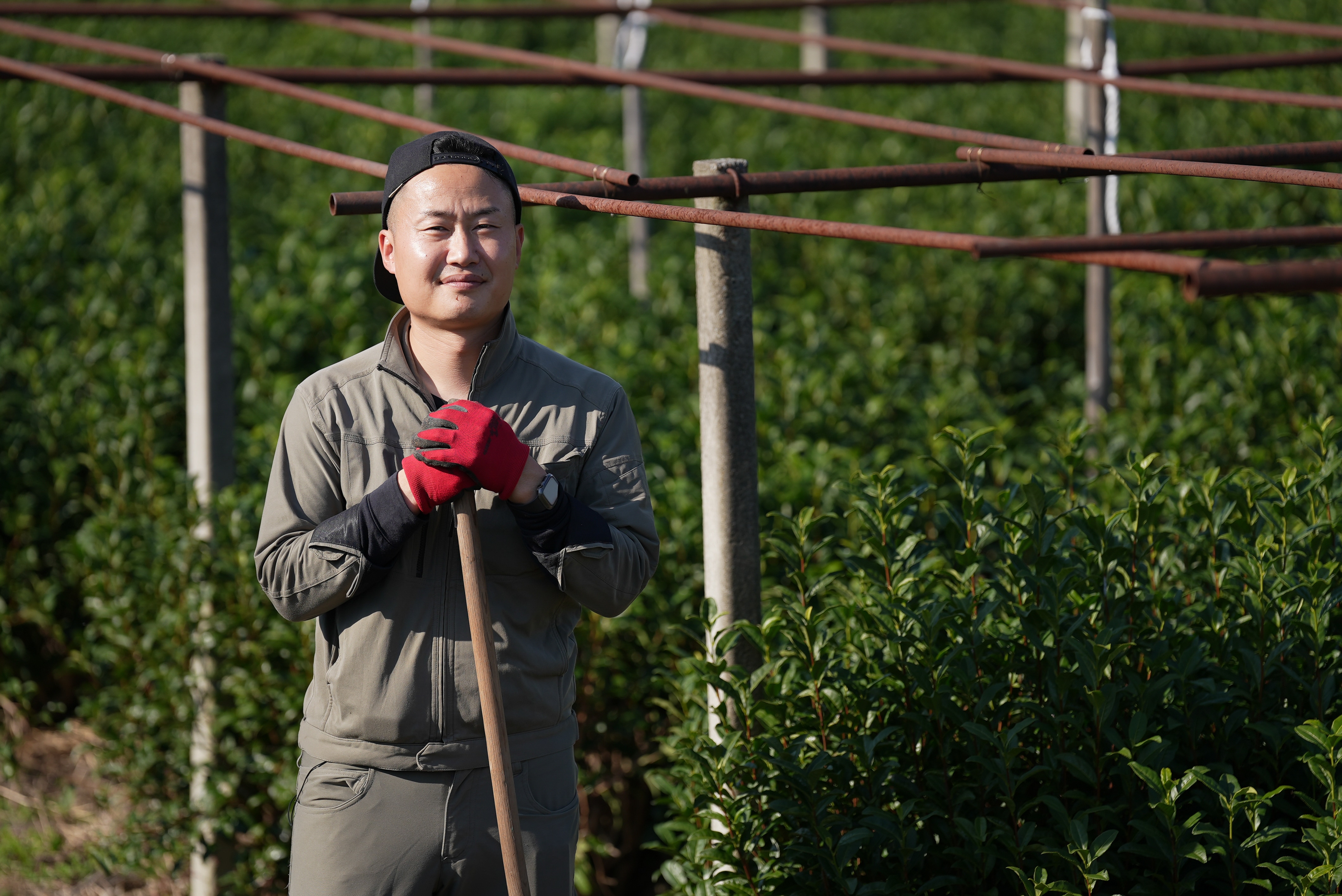 Um japonês de uniforme cinza e luvas vermelhas segura uma vassoura ao lado de um campo de plantas de chá verde.