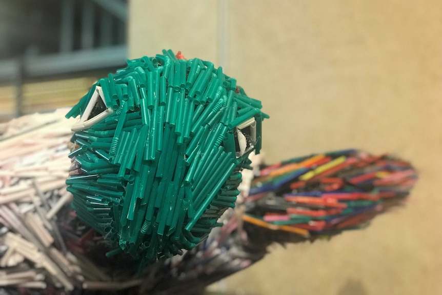 McChokey, a turtle sculpture made of plastic straws