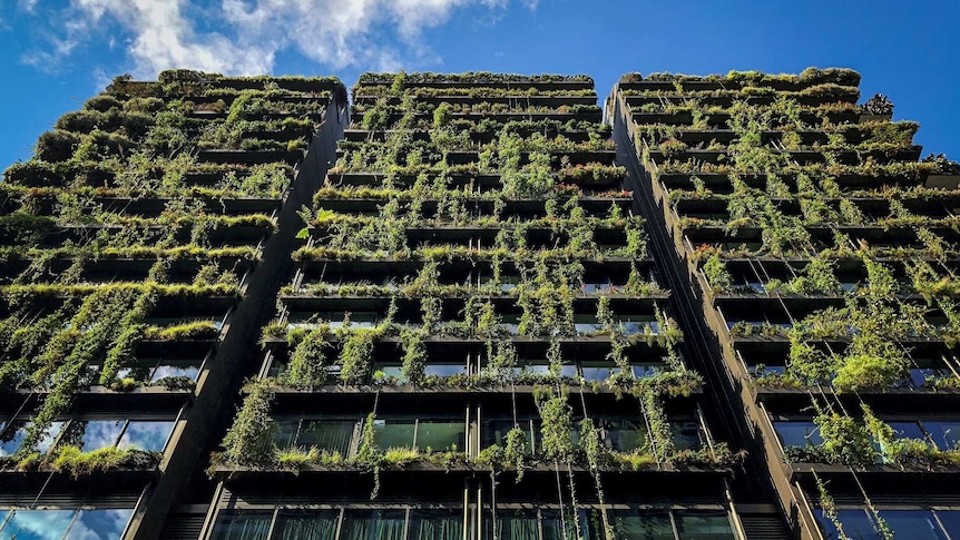 One Central Park in Sydney is covered in about 35,000 plants, May 2018.