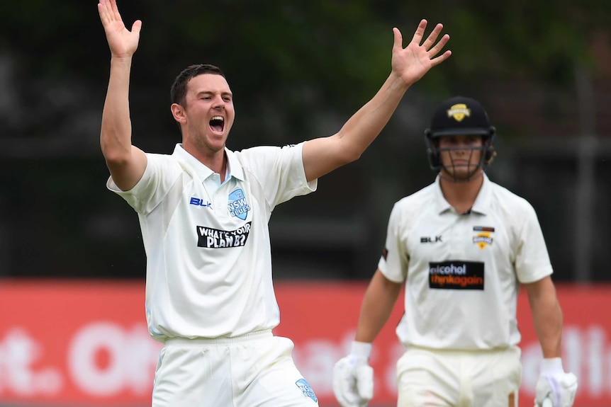 Josh Hazlewood appeals for Hilton Cartwright's wicket