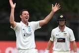 Josh Hazlewood appeals for Hilton Cartwright's wicket