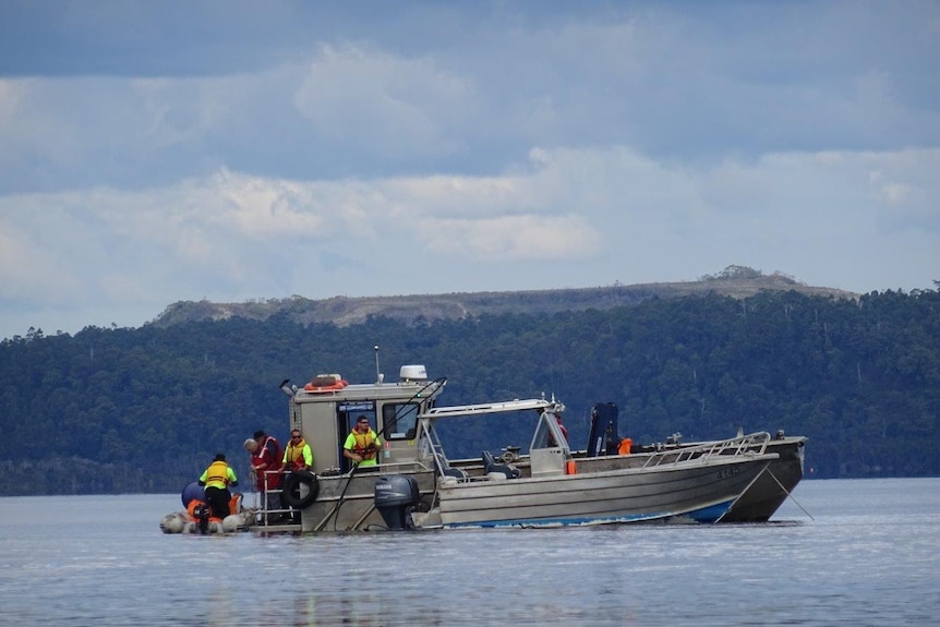 Boating volunteers