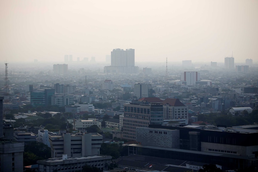 Jakarta blanketed in thick yellow smog