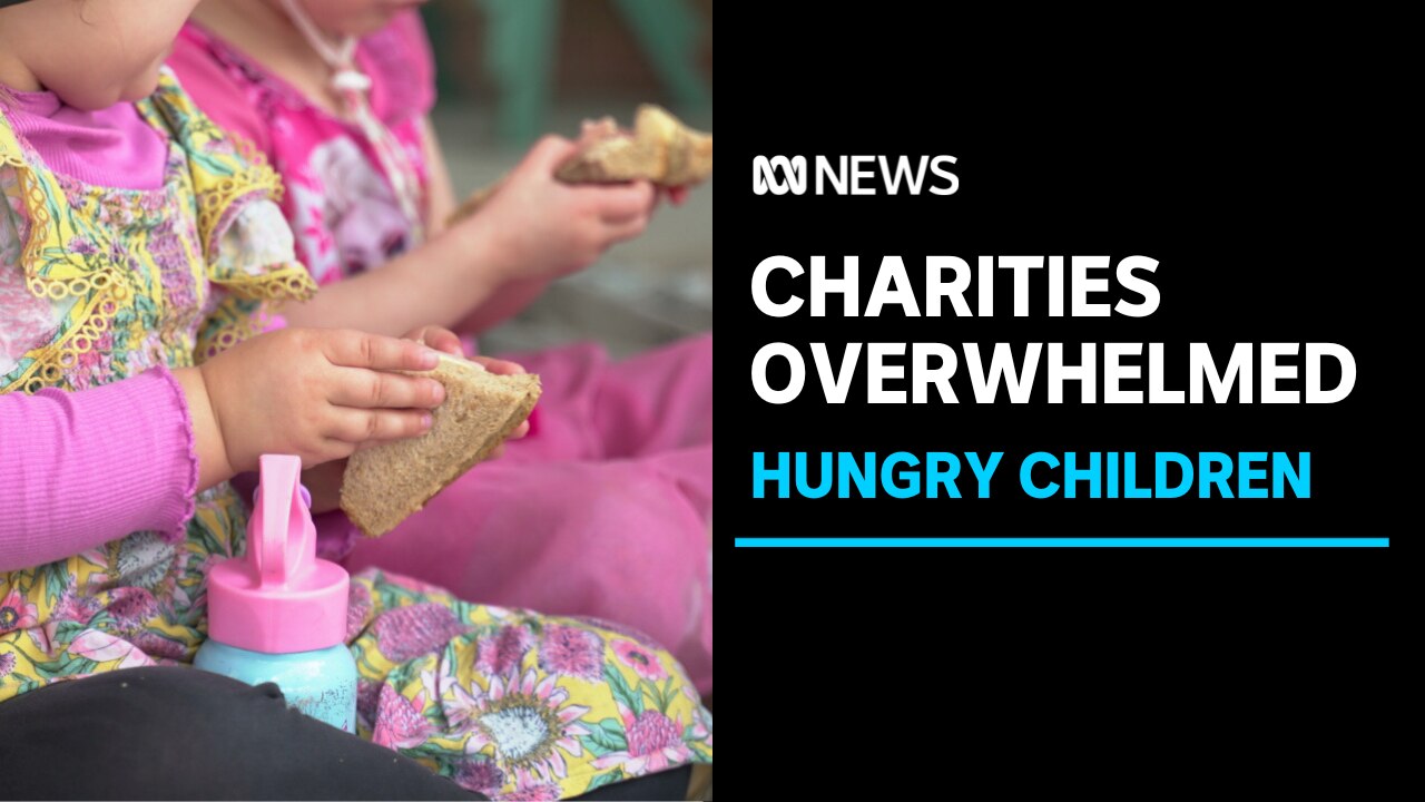 Community centre delivers 20 tonnes of food relief to families - ABC News