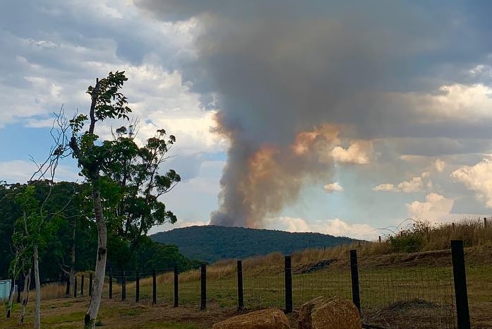 Distant smoke rises from a mountain over a view of a paddock with green grass.