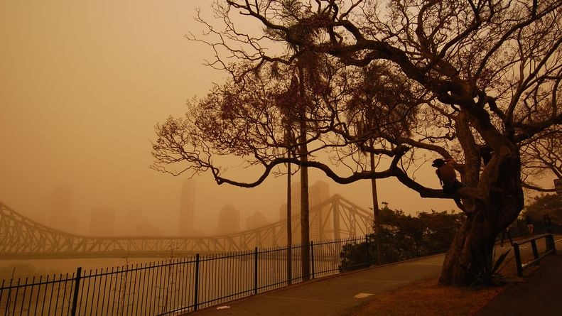Behind a veil: The Brisbane skyline is swathed in dust