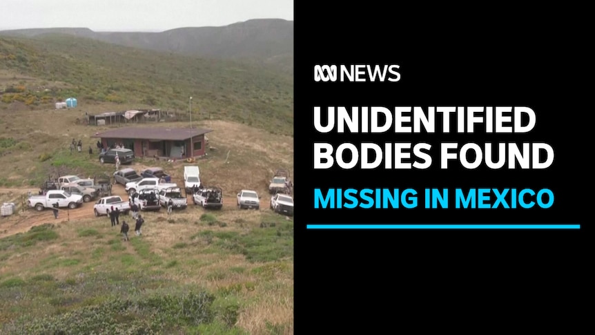 Unidentified Bodies Found, Missing In Mexico: Wide shot of emergency and rescue vehicles in grasslands area.